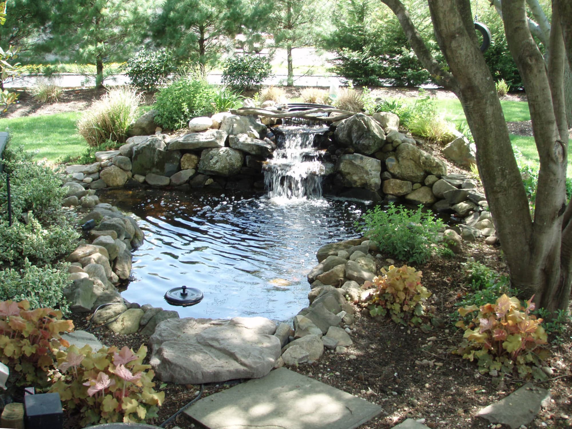 Koi Pond Designers Long Island NY