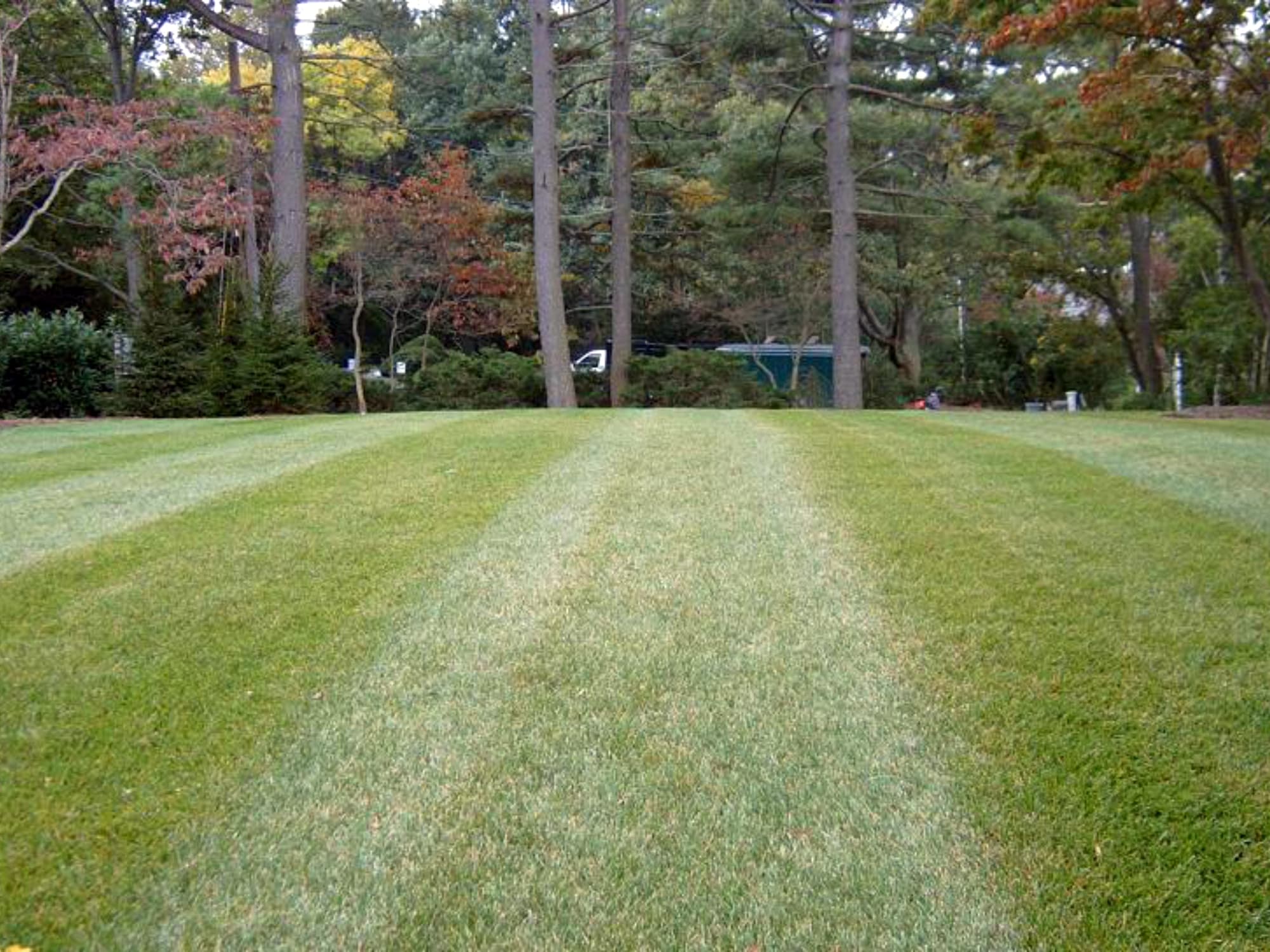 What You Must Do for Your Lawn in April