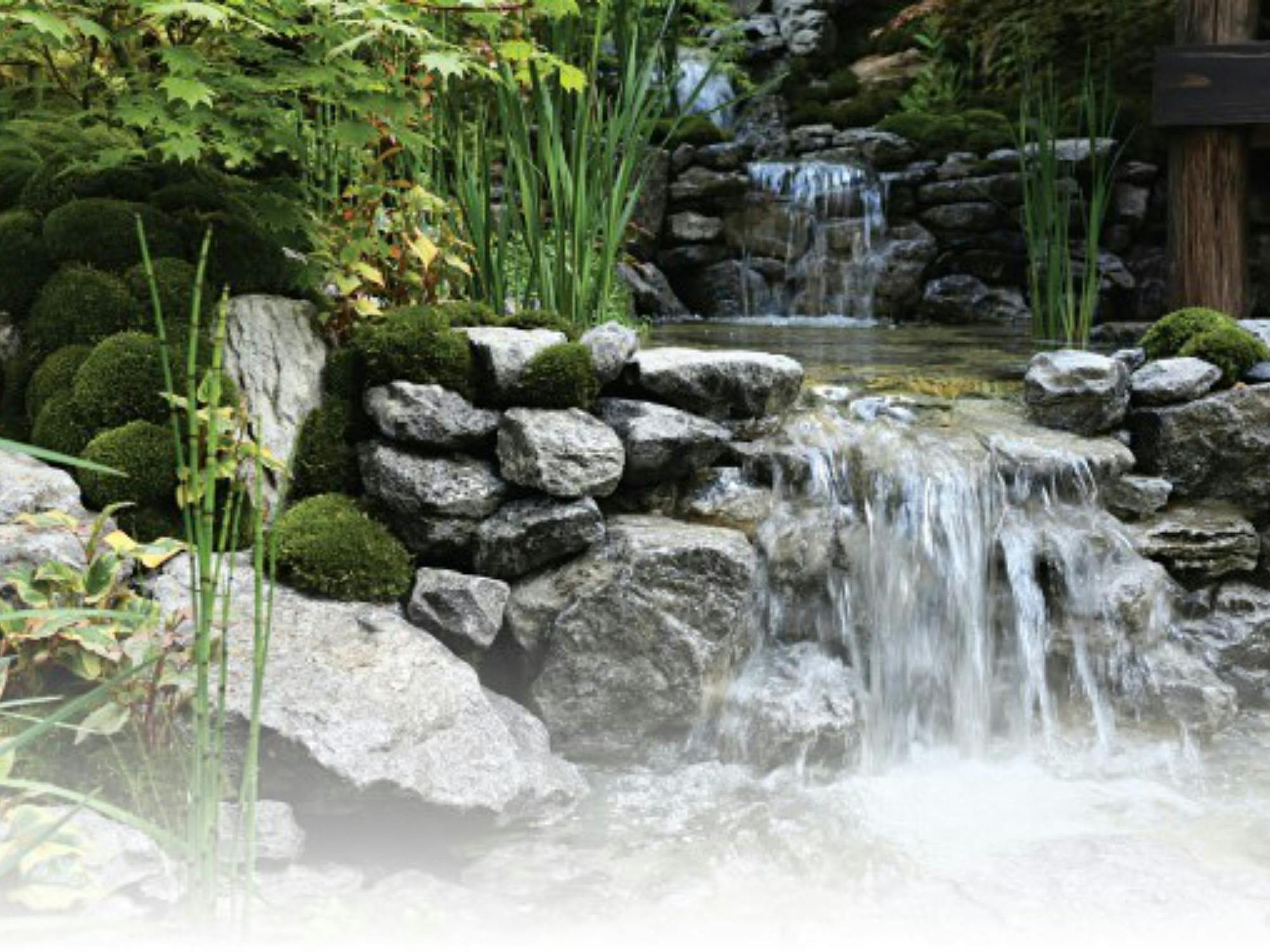 Pondless Waterfalls - Featured In Pulse Magazine