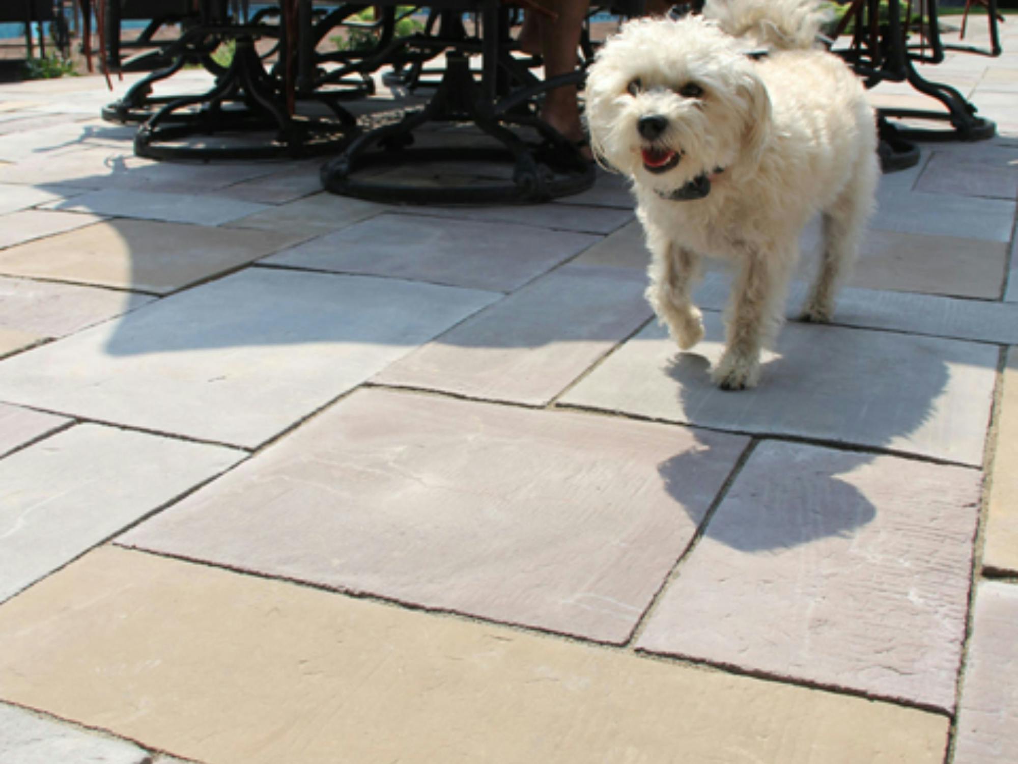 Our Work Featured in 2014 Nicolock Paving Stone